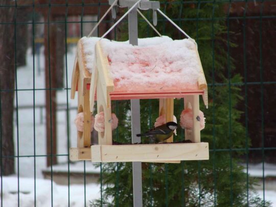 Aicinām pievienoties projektam “Putnu vērošana”